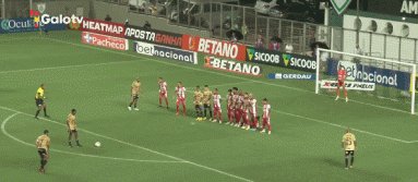 1675948530818003199.gif 1.gif